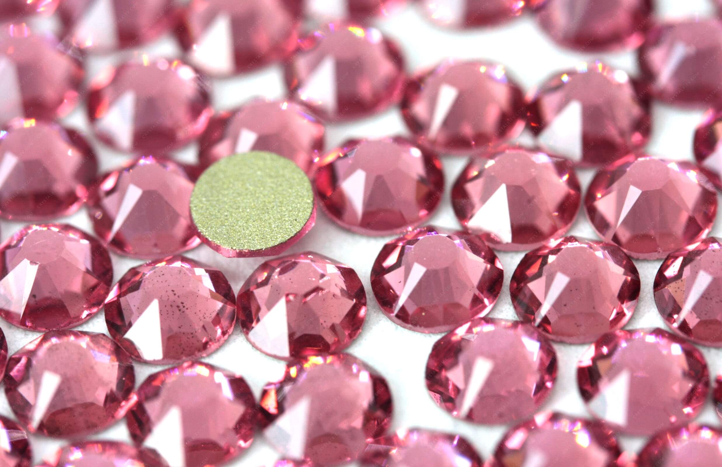 Crystalline Rose* Xirius Rose 2088